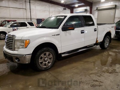 Ford F-150 2010 VIN 1FTFW1EV4AFB11233
