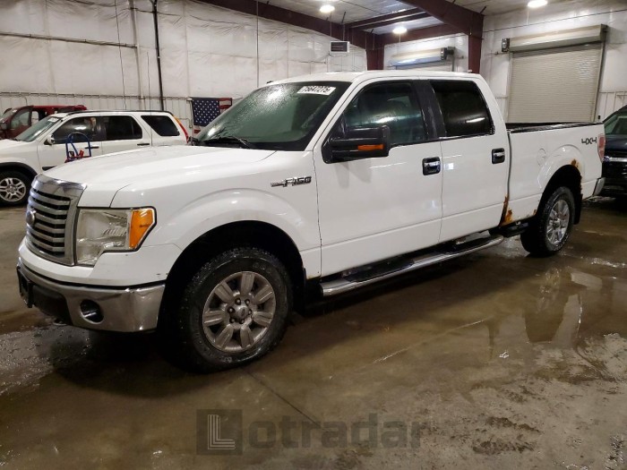 Ford F-150 2010 VIN 1FTFW1EV4AFB11233