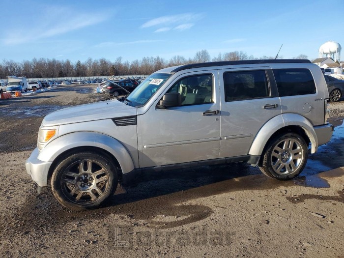 Dodge Nitro 2011 VIN 1D4PU4GK1BW563966