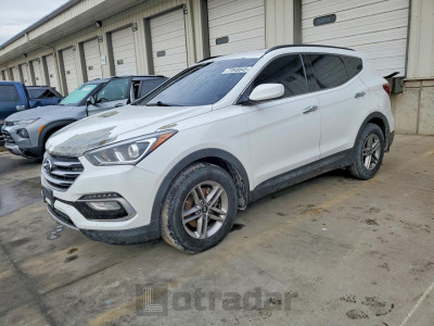 Hyundai Santa fe 2017 5NMZUDLB6HH037162