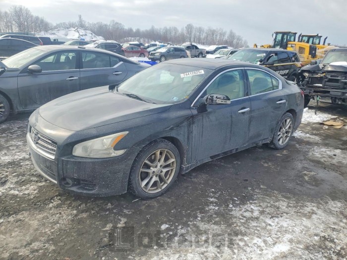 Nissan Maxima 2011 VIN 1N4AA5AP9BC858813