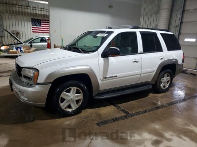 Chevrolet Trailblazer 2002 VIN 1GNDS13S322381078