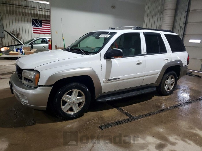 Chevrolet Trailblazer 2002 VIN 1GNDS13S322381078