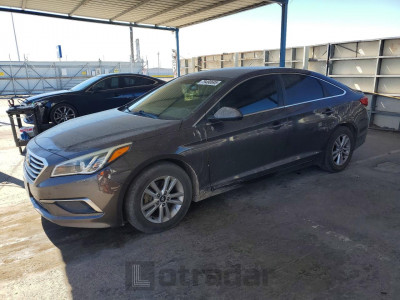 Hyundai Sonata 2016 5NPE24AFXGH302001