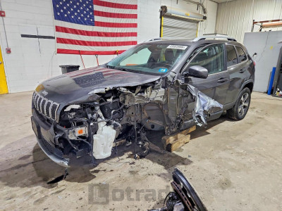 Jeep Cherokee 2019 1C4PJMDXXKD408771