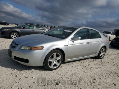 Acura Tl 2006 19UUA66216A070038