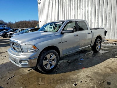 Dodge Ram 2009 VIN 1D3HV13T39S711538