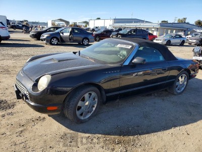 Ford Thunderbird 2002 VIN 1FAHP60A12Y120331