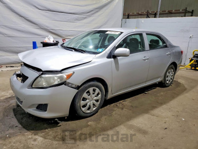 Toyota Corolla 2010 2T1BU4EE3AC256178
