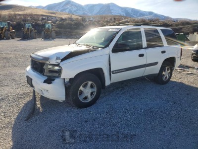 Chevrolet Trailblazer 2004 VIN 1GNDT13S242247680