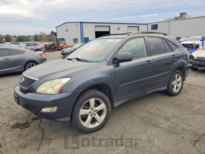 Lexus Rx 2004 VIN JTJGA31UX40004977