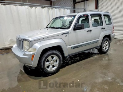 Jeep Liberty (north america) 2010 VIN 1J4PN2GK1AW106081