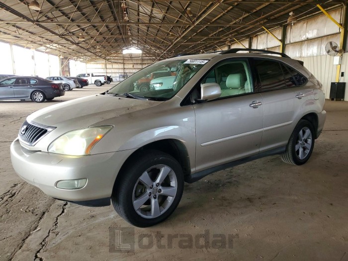 Lexus Rx 2008 VIN 2T2GK31U48C052448