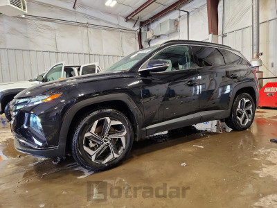 Hyundai Tucson 2024 5NMJECDE8RH319141