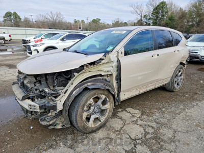 Honda Cr-v 2019 5J6RW1H56KL004223