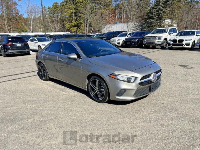 Mercedes-benz A-klasse 2019 VIN WDD3G4EB7KW020987