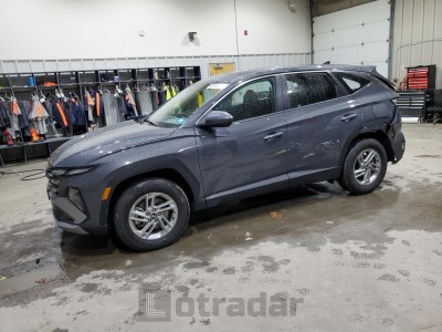 Hyundai Tucson 2025 5NMJACDEXSH472198