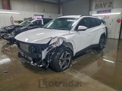 Hyundai Tucson 2024 5NMJBCDE4RH424087