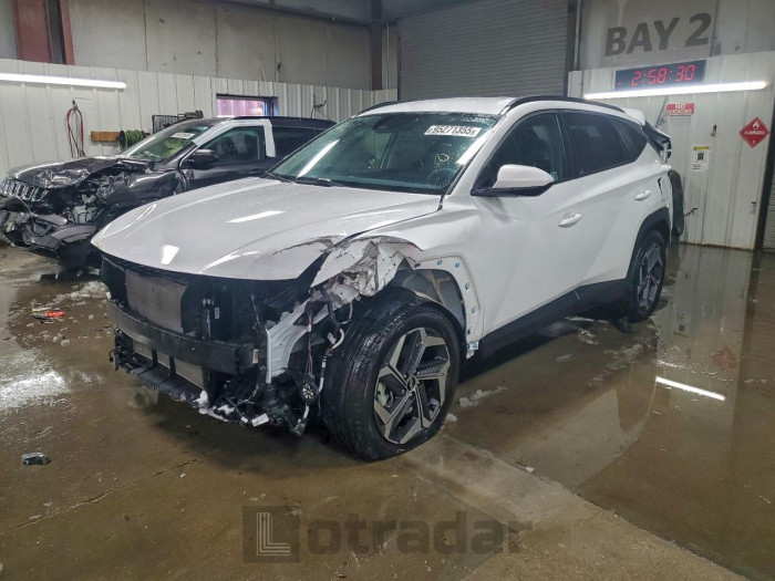 Hyundai Tucson 2024 VIN 5NMJBCDE4RH424087