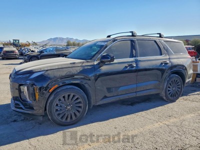 Hyundai Palisade 2025 KM8R7DGEXSU941460