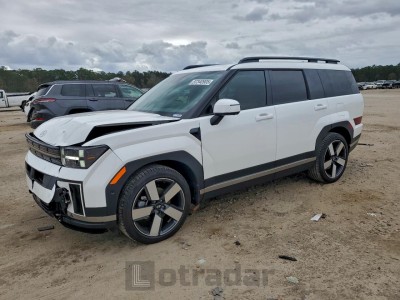 Hyundai Santa fe 2025 5NMP44GLXSH138738
