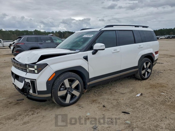 Hyundai Santa fe 2025 VIN 5NMP44GLXSH138738