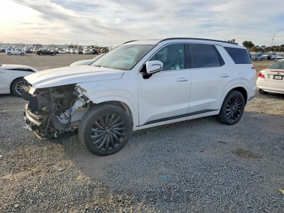 Hyundai Palisade 2024 KM8R7DGE4RU714646