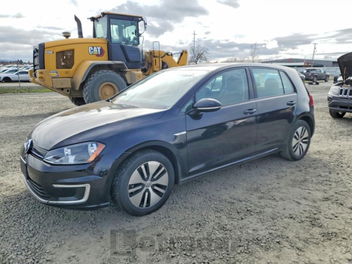 Volkswagen Golf 2016 VIN WVWKP7AU5GW913701