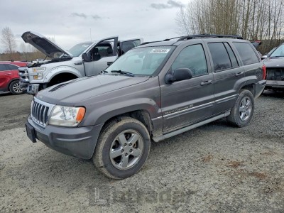 Jeep Cherokee 2004 1J8GW68J24C398693