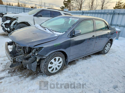 Toyota Corolla 2010 2T1BU4EE1AC197468