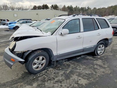 Hyundai Santa fe 2005 KM8SC13D95U909919