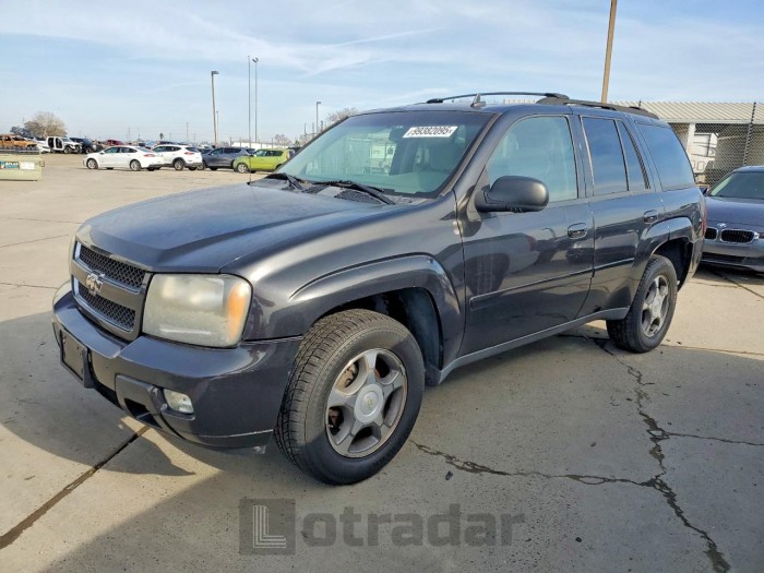 Chevrolet Trailblazer 2009 VIN 1GNDT33S992132304