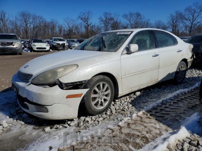 Lexus ES 2002 JTHBF30G825025299
