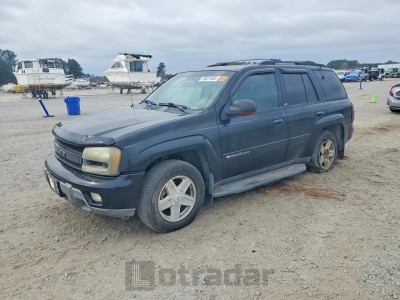 Chevrolet Trailblazer 2002 VIN 1GNDT13S422297784