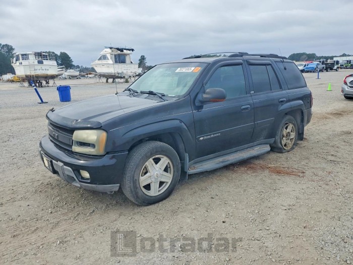 Chevrolet Trailblazer 2002 VIN 1GNDT13S422297784