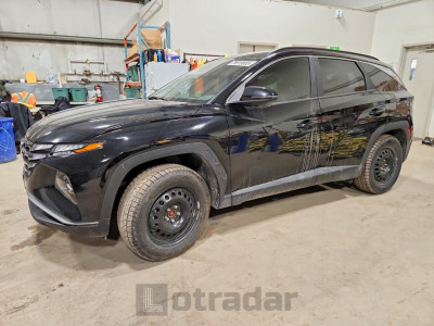 Hyundai Tucson 2024 KM8JBCDE1RU339406