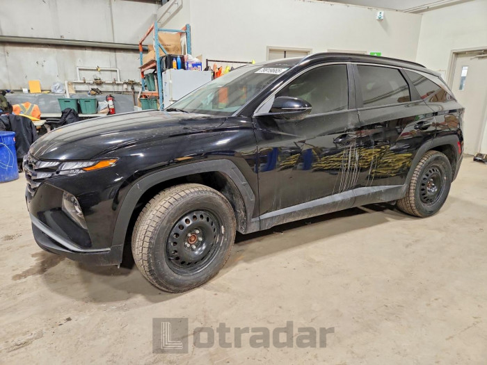 Hyundai Tucson 2024 VIN KM8JBCDE1RU339406