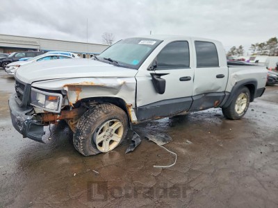 Dodge Dakota 2010 1D7CW3GK2AS228288