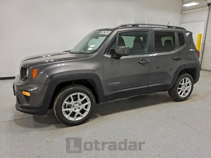 Jeep Renegade 2021 VIN ZACNJDBB9MPN24852