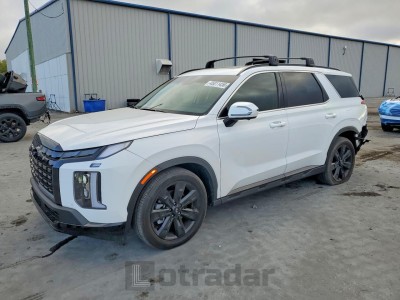 Hyundai Palisade 2025 VIN KM8R34GE1SU915759