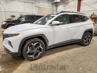 Hyundai Tucson 2024 KM8JECD13RU148879