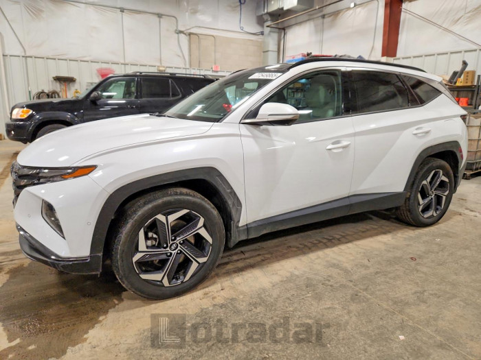 Hyundai Tucson 2024 VIN KM8JECD13RU148879