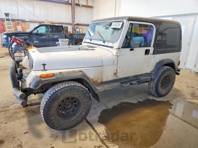 Jeep Wrangler / 1992 2J4FY19P6NJ557512