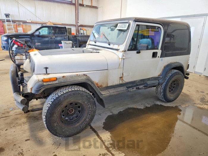 Jeep Wrangler / 1992 VIN 2J4FY19P6NJ557512