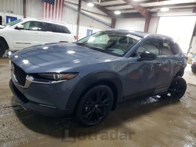 Mazda Cx-30 2024 VIN 3MVDMBDY7RM620807