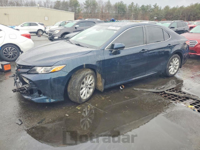 Toyota Camry 2020 4T1C11AK0LU901264