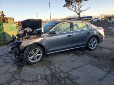 Volkswagen Passat 2014 1VWCM7A33EC055967