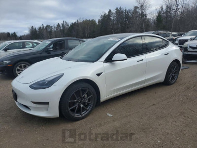 Tesla Model 3 2021 5YJ3E1EA3MF031983