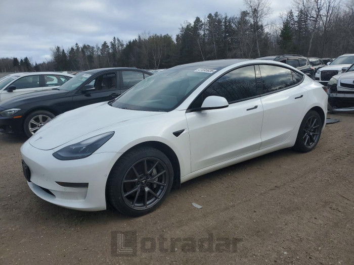 Tesla Model 3 2021 VIN 5YJ3E1EA3MF031983