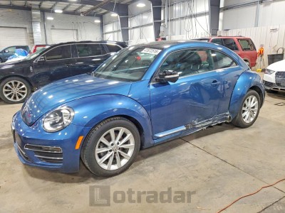 Volkswagen Beetle 2019 VIN 3VWJD7AT4KM711935